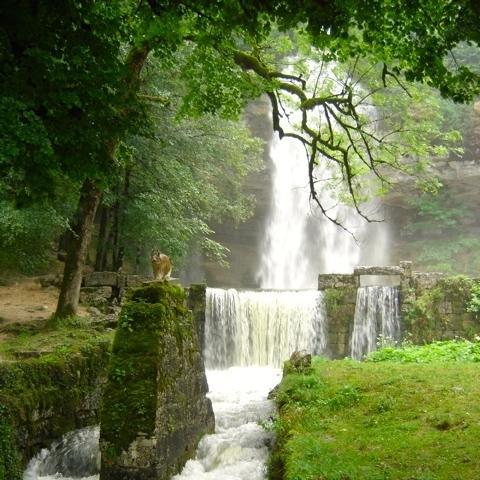 Au Moulin Des Fees - Maison D'Hotes Cascades Du Herisson Bonlieu Luaran gambar